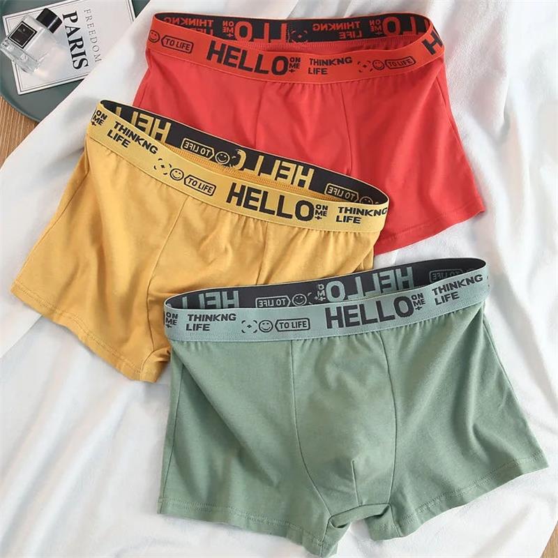 10Pieces/ Men's Underwear Men  - Boxer Brief Pack Cotton recension och pris